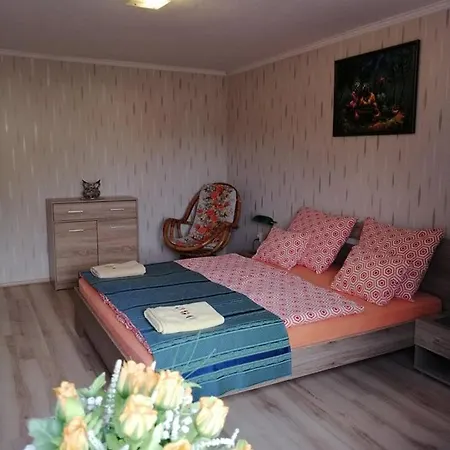 Diana Vendeghaz Guest house *